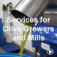 Services for Olive Growers and Mills